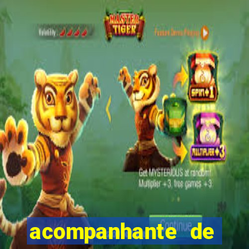 acompanhante de luxo agenda 31